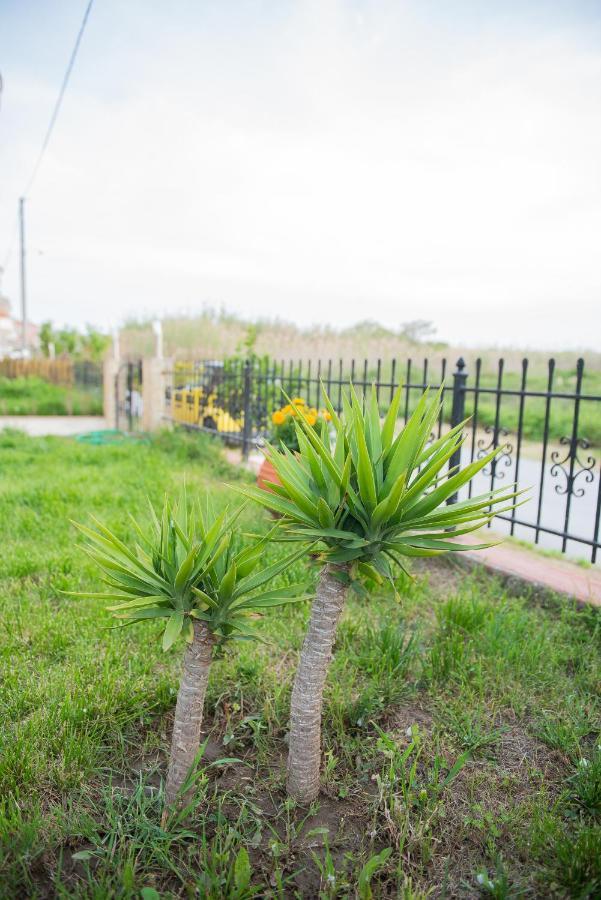 Garden Suite Nea Peramos  Exterior photo